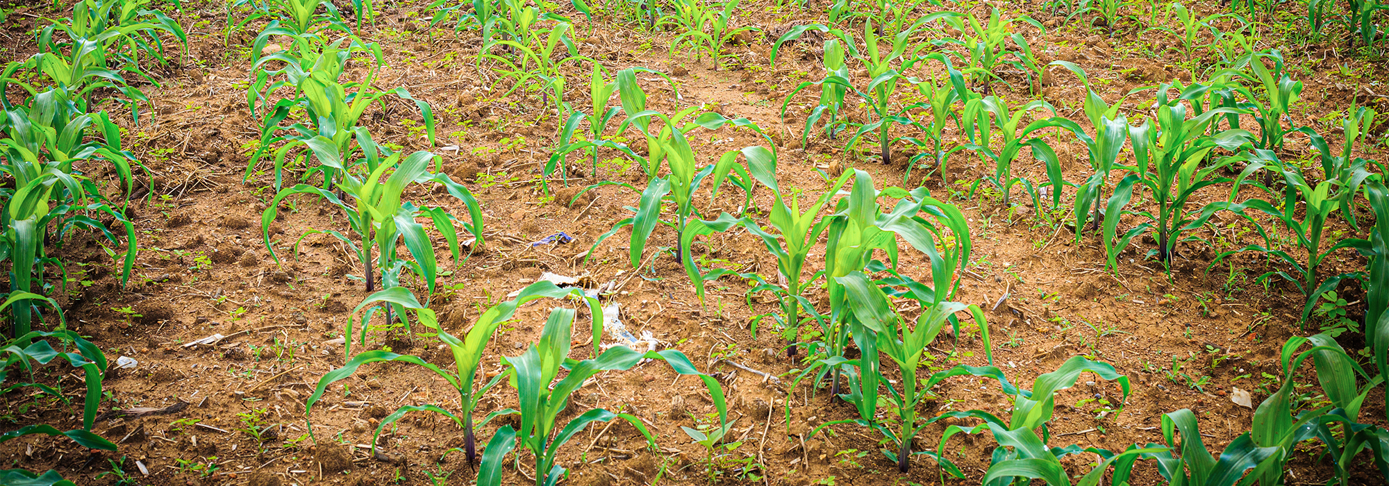 How to overcome unique spraying challenges.